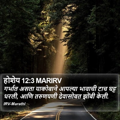 होशेय 12:3 MARIRV Bible Verse Image