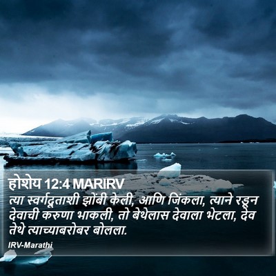होशेय 12:4 MARIRV Bible Verse Image