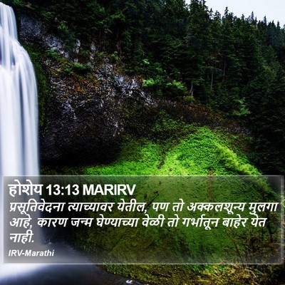 होशेय 13:13 MARIRV Bible Verse Image