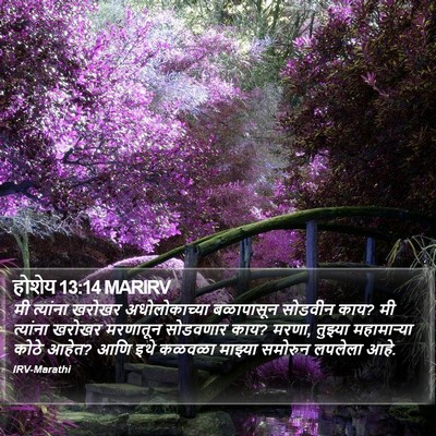 होशेय 13:14 MARIRV Bible Verse Image