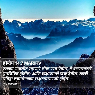 होशेय 14:7 MARIRV Bible Verse Image
