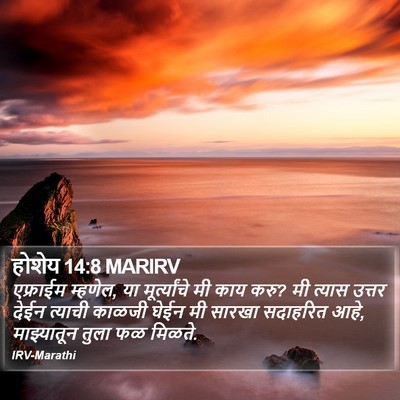 होशेय 14:8 MARIRV Bible Verse Image