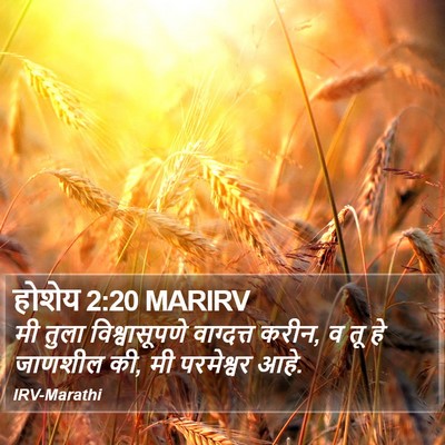 होशेय 2:20 MARIRV Bible Verse Image