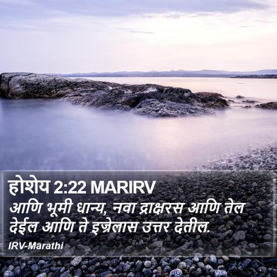 होशेय 2:22 MARIRV Bible Verse Image
