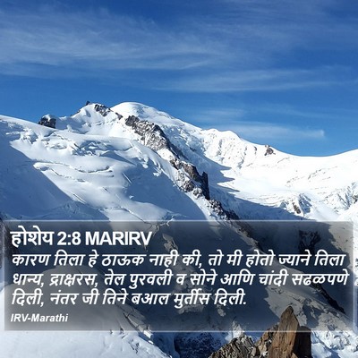 होशेय 2:8 MARIRV Bible Verse Image