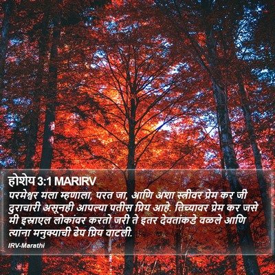 होशेय 3:1 MARIRV Bible Verse Image