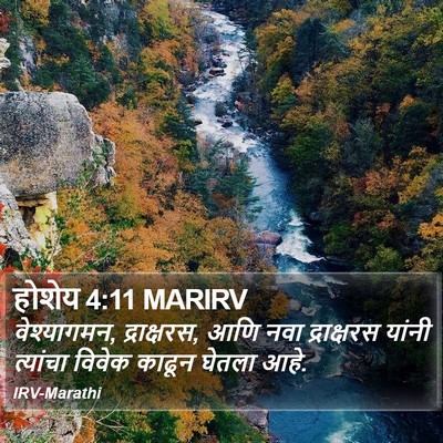 होशेय 4:11 MARIRV Bible Verse Image