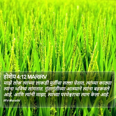 होशेय 4:12 MARIRV Bible Verse Image