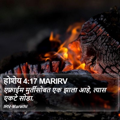 होशेय 4:17 MARIRV Bible Verse Image