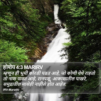 होशेय 4:3 MARIRV Bible Verse Image