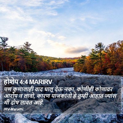 होशेय 4:4 MARIRV Bible Verse Image