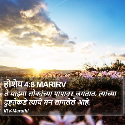 होशेय 4:8 MARIRV Bible Verse Image