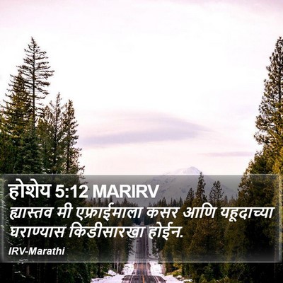 होशेय 5:12 MARIRV Bible Verse Image