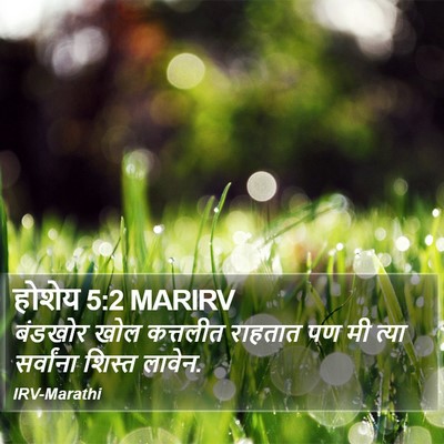 होशेय 5:2 MARIRV Bible Verse Image