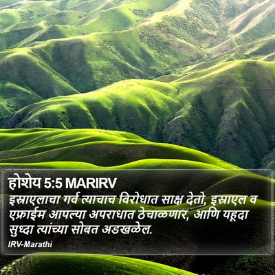 होशेय 5:5 MARIRV Bible Verse Image