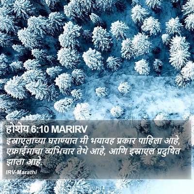 होशेय 6:10 MARIRV Bible Verse Image