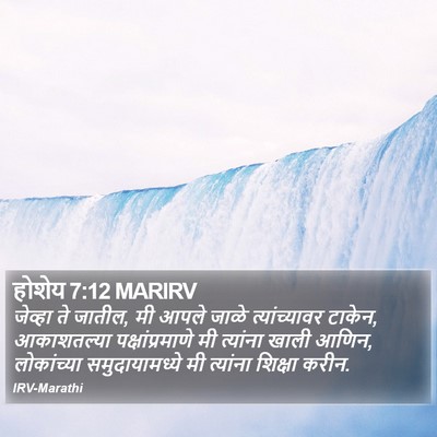 होशेय 7:12 MARIRV Bible Verse Image