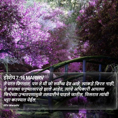 होशेय 7:16 MARIRV Bible Verse Image