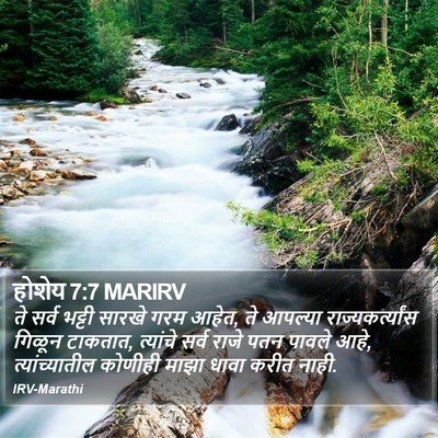 होशेय 7:7 MARIRV Bible Verse Image