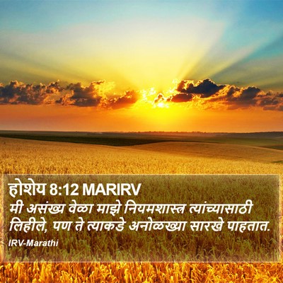 होशेय 8:12 MARIRV Bible Verse Image