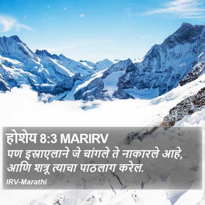 होशेय 8:3 MARIRV Bible Verse Image