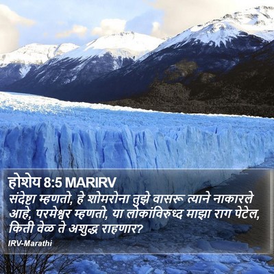 होशेय 8:5 MARIRV Bible Verse Image
