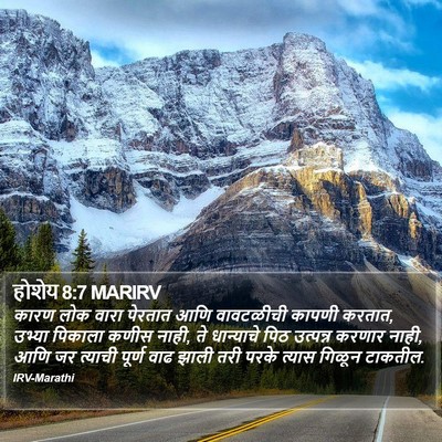 होशेय 8:7 MARIRV Bible Verse Image