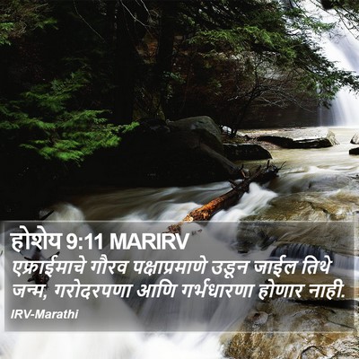 होशेय 9:11 MARIRV Bible Verse Image