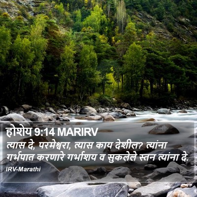 होशेय 9:14 MARIRV Bible Verse Image