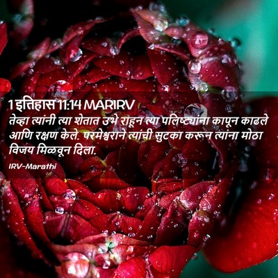 Picture 02 - 1 इतिहास 11:14 MARIRV - तेव्हा त्यांनी - Bible Verse Picture