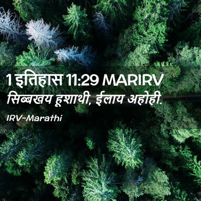 Picture 02 - 1 इतिहास 11:29 MARIRV - सिब्बखय हूशाथी, - Bible Verse Picture