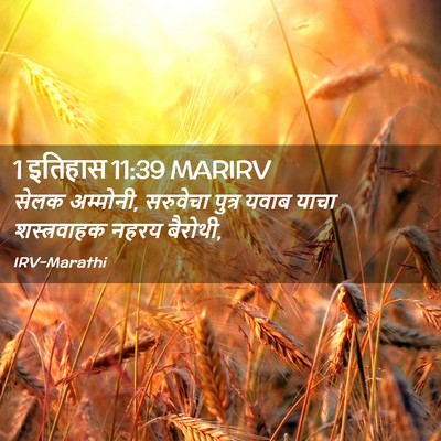 Picture 02 - 1 इतिहास 11:39 MARIRV - सेलक अम्मोनी, - Bible Verse Picture