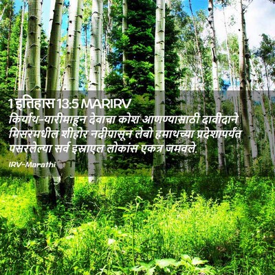 Picture 02 - 1 इतिहास 13:5 MARIRV - किर्याथ-यारीमाहून - Bible Verse Picture