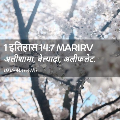 Picture 02 - 1 इतिहास 14:7 MARIRV - अलीशामा, बेल्यादा, - Bible Verse Picture