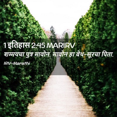 Picture 02 - 1 इतिहास 2:45 MARIRV - शम्मयचा पुत्र - Bible Verse Picture