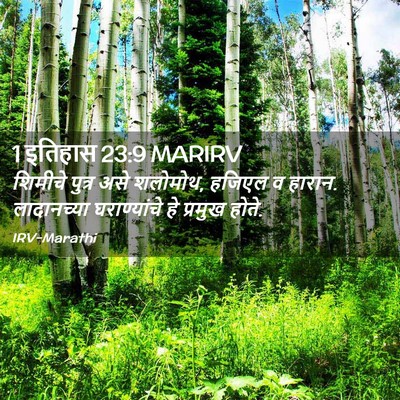 Picture 02 - 1 इतिहास 23:9 MARIRV - शिमीचे पुत्र असे - Bible Verse Picture