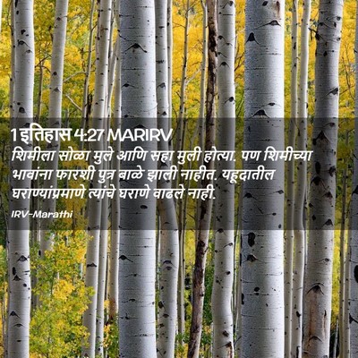 Picture 02 - 1 इतिहास 4:27 MARIRV - शिमीला सोळा मुले - Bible Verse Picture