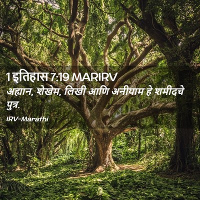 Picture 02 - 1 इतिहास 7:19 MARIRV - अह्यान, शेखेम, लिखी - Bible Verse Picture