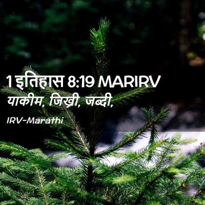 Picture 02 - 1 इतिहास 8:19 MARIRV - याकीम, जिख्री, - Bible Verse Picture