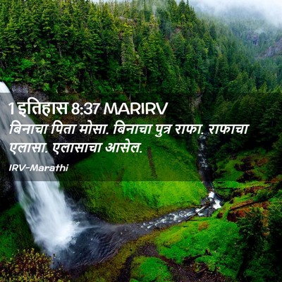 Picture 02 - 1 इतिहास 8:37 MARIRV - बिनाचा पिता मोसा. - Bible Verse Picture