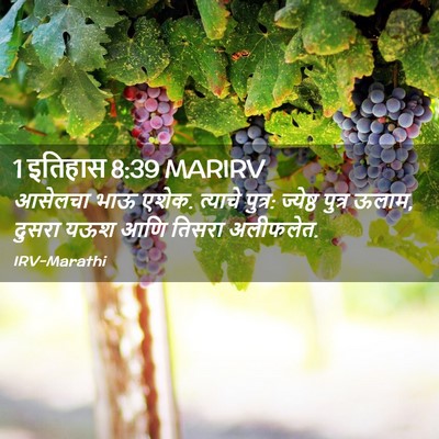 Picture 02 - 1 इतिहास 8:39 MARIRV - आसेलचा भाऊ एशेक. - Bible Verse Picture