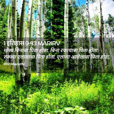 Picture 02 - 1 इतिहास 9:43 MARIRV - मोसा बिनाचा पिता - Bible Verse Picture