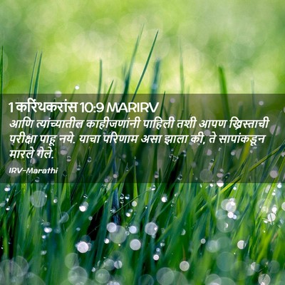 Picture 02 - 1 करिंथकरांस 10:9 MARIRV - आणि त्यांच्यातील - Bible Verse Picture