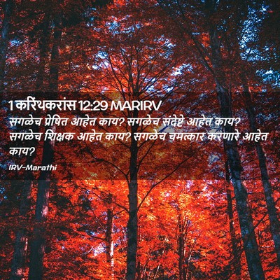 Picture 02 - 1 करिंथकरांस 12:29 MARIRV - सगळेच प्रेषित - Bible Verse Picture
