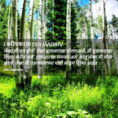 Picture 02 - 1 करिंथकरांस 13:11 MARIRV - जेव्हा मी मूल होतो, - Bible Verse Picture