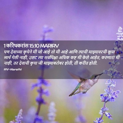 Picture 02 - 1 करिंथकरांस 15:10 MARIRV - पण देवाच्या - Bible Verse Picture