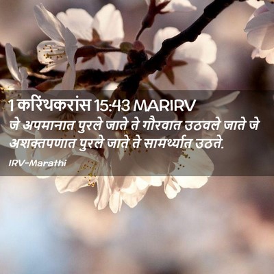 Picture 02 - 1 करिंथकरांस 15:43 MARIRV - जे अपमानात पुरले - Bible Verse Picture