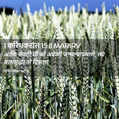 Picture 02 - 1 करिंथकरांस 15:8 MARIRV - आणि शेवटी मी जो - Bible Verse Picture