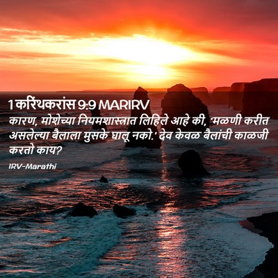Picture 02 - 1 करिंथकरांस 9:9 MARIRV - कारण, मोशेच्या - Bible Verse Picture