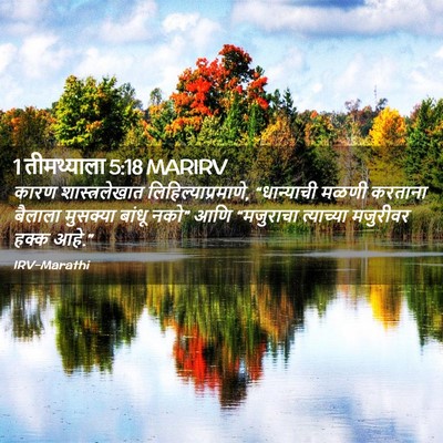Picture 02 - 1 तीमथ्याला 5:18 MARIRV - कारण शास्त्रलेखात - Bible Verse Picture